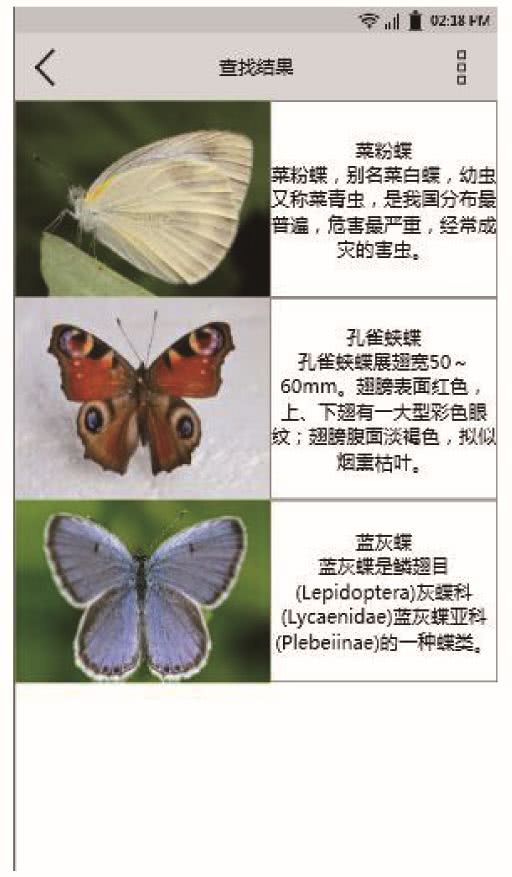 佳木斯市昆虫识别计数app设计