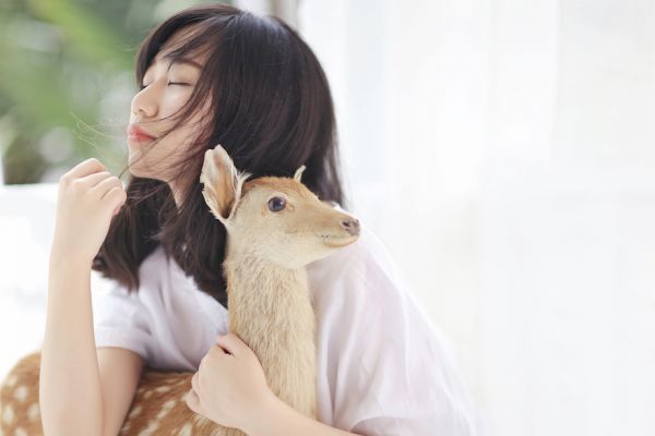 以少女心生活方式为核心内容电商平台,厨娘物语获A轮融资 以少女心生活方式为核心内容电商平台,厨娘物语获A轮融资