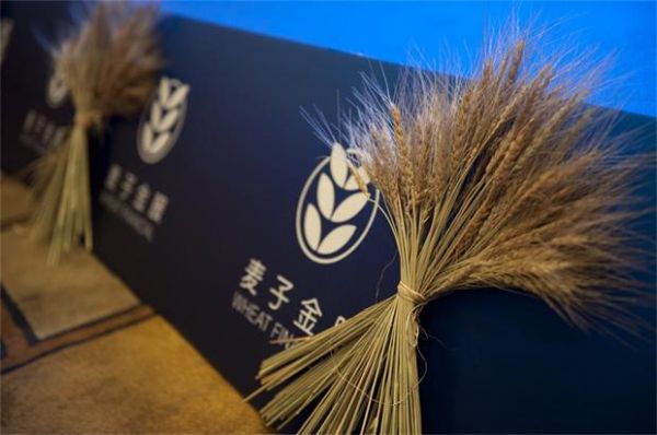 “18号文”将互金纳入综合统计体系,麦子金服带来专业金融信息服务 “18号文”将互金纳入综合统计体系,麦子金服带来专业金融信息服务
